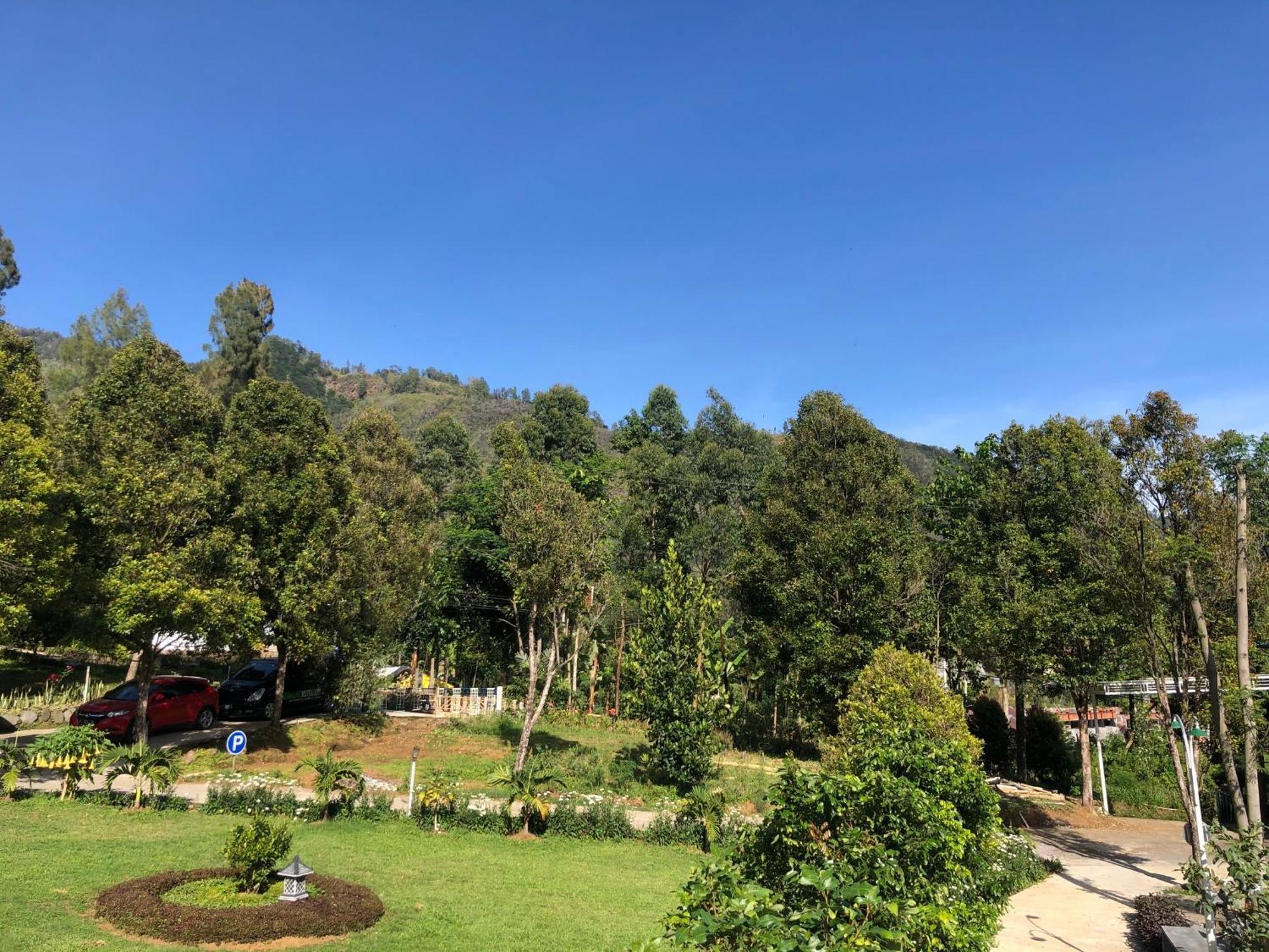 Bromo Camp House Hotel Ngoại thất bức ảnh